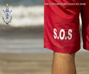 salvamentocagliari.it_ultimia articoli blog salvamentocagliari.it_ultimia articoli blog